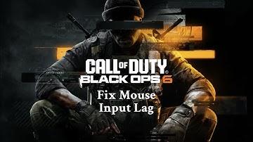 Fixing Mouse Input Lag in Call of Duty: Black Ops 6