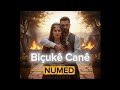 Biçukê Canê 2026 By NUMED Kurdish Music 