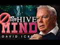 From Individuality to Integration — The Hive Mind - Rose/Icke 10