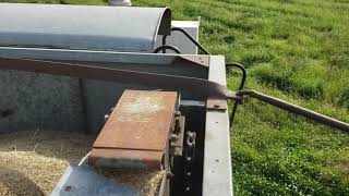 Fescue crop A2 Gleaner Combine