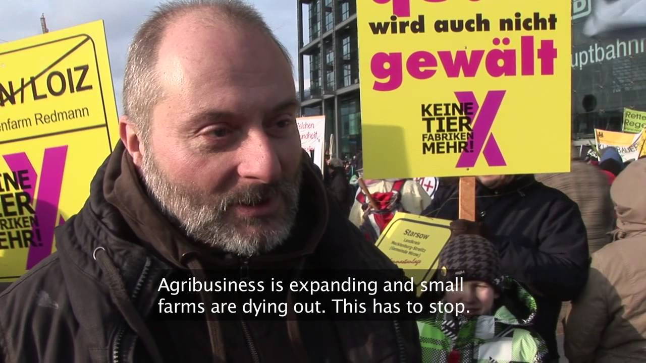 Anti factory farm demonstration, Berlin, January 2013