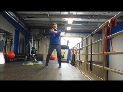 Pallof Press with Plate Perturbations