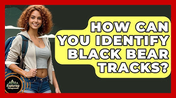 How Can You Identify Black Bear Tracks? - Exploring Campgrounds