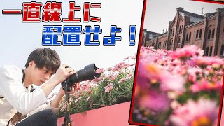 望遠で圧縮効果を使うとあなたの写真がレベルアップします！