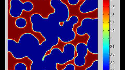 Spatio-Temporal Pattern Formation for 2D Random initialization