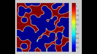 Spatio-Temporal Pattern Formation for 2D Random initialization