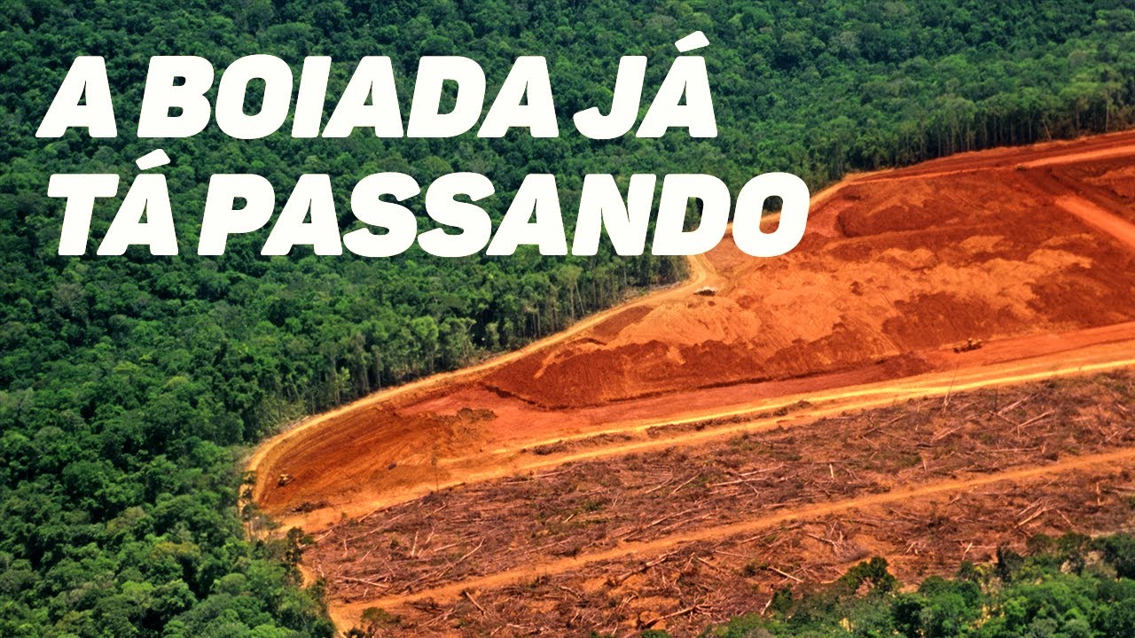 O desmatamento na Amazônia, a boiada e os retrocessos de Salles em meio à pandemia