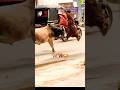 Wait for end 😂💪🔥 #shorts #GoatVsBull #funnyanimals #funny #newtrend