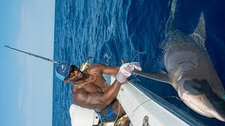 Shark Fishing with NFL Linebacker Sam Barrington  4K