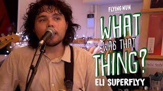 Eli Superflyy performs Attitude live At Flying Nun Records
