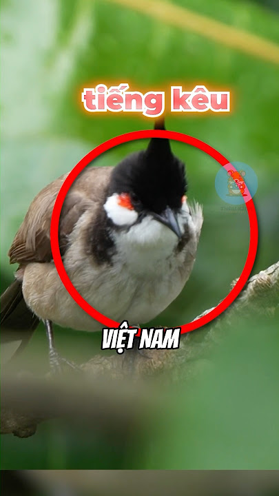 5 TIẾNG KÊU CỦA LOÀI CHIM BÍ ẨN NHẤT VIỆT NAM | 😨 #fact #amazingfacts #thaukinhdongvat