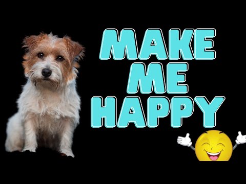 Video: Kako spasiti ugušenog psa: 13 koraka
