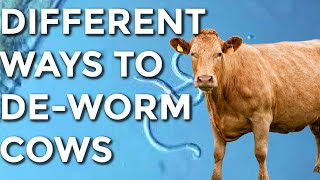 The Different Ways To DeWorm Cows!