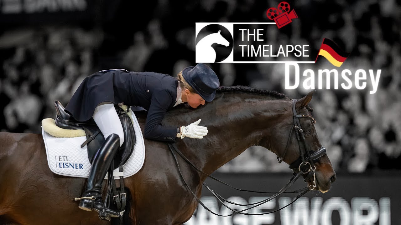 Der Ausnahmehengst Damsey 😍 | Seine Geschichte mit Helen Langehanenberg | The Timelapse 🔝