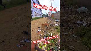 Near Girls Hostel Dog Catch #dog #streetdogrevival #ytviral #hostel #pets