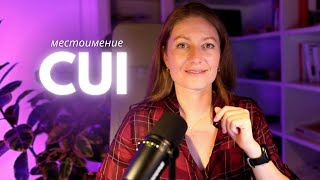 картинка: Pronome relativo CUI. Относительное местоимение - CUI