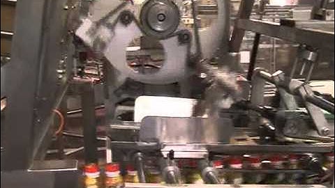 LEAD TECHNOLOGY - Partial Wrap Around Cartoninng Machine - MP-20