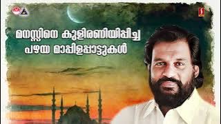 മനസ്സിനെ കുളിരണിയിപ്പിച്ച പഴയ മാപ്പിളപ്പാട്ടുകൾ | KJ Yesudas | #tharangini | #mappilappattukal