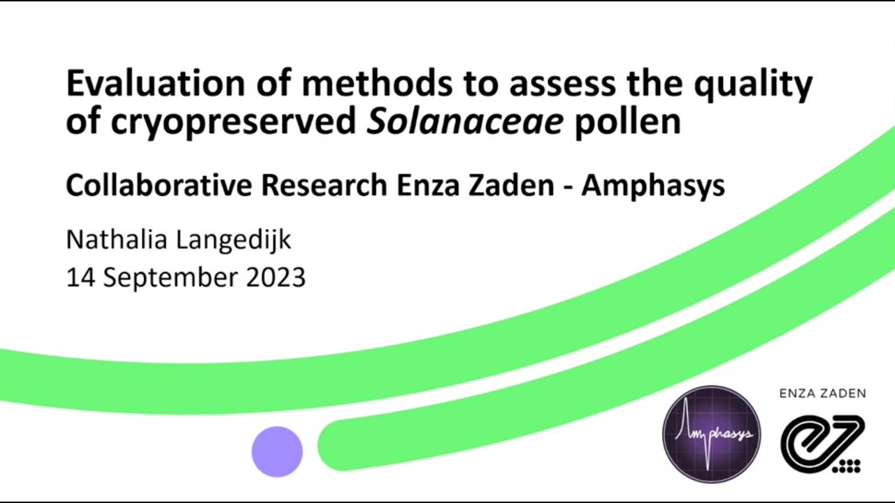 Amphacademy 2023: Assessing the quality of cryopreserved Solanaceae pollen (Nathalia Langedijk)