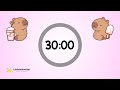 Capybara 30 Minutes Classroom Countdown Timer For Kids With Lofi Music | Classroom Visual Timer
