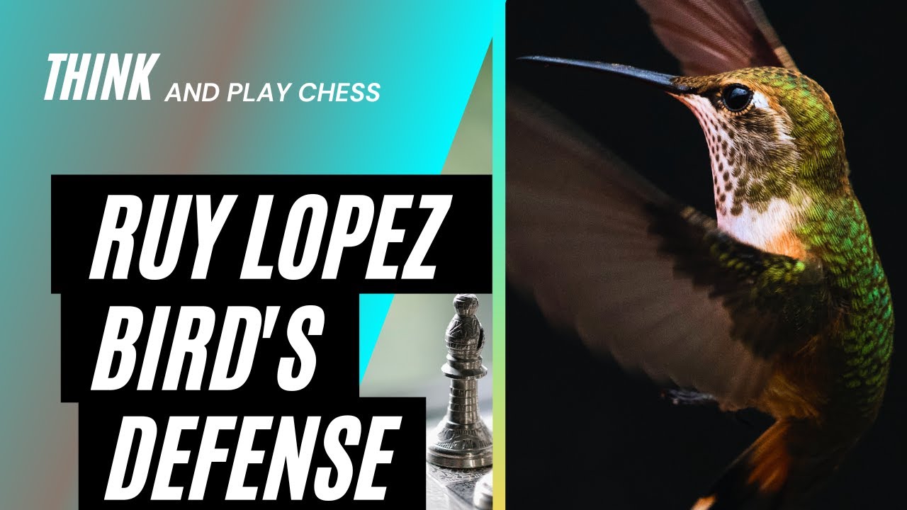 Ruy Lopez, Bird's Defense (Theory, Variations, Lines) - PPQTY