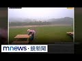兩岸交流