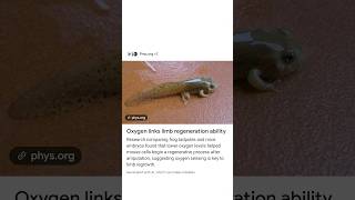 #Oxygen links limb regeneration abilityResearch comparing frog tadpoles and miceembryos/#trending