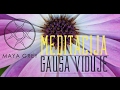 Maya Grey | Meditacija "Gausa viduje"
