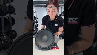 TN-12W750 Professional Speaker #speakers #subwoofer #dj #youtubeshorts #stereo #music #speaker #bass