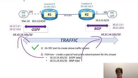 Configuring Spirent Test Center to Send Traffic from Advertised Prefixes