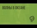 Волны в океане. Видеоурок по географии 6 класс