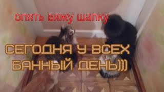 я опять вяжу шапку // сегодня у всех банный день)))