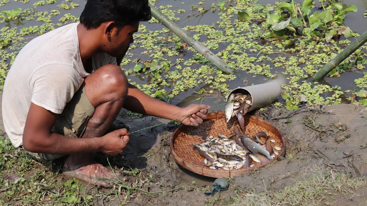 Believe This Fishing? Unique Fish Trapping System | New Technique Of Catching Country Fish | 😱😱😱
