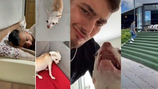 mreviatar tiktok compilation\/🔥 SPECIAL NIKI CHIHUAHUA #2 | Niki's (mreviatar) first videos on tiktok