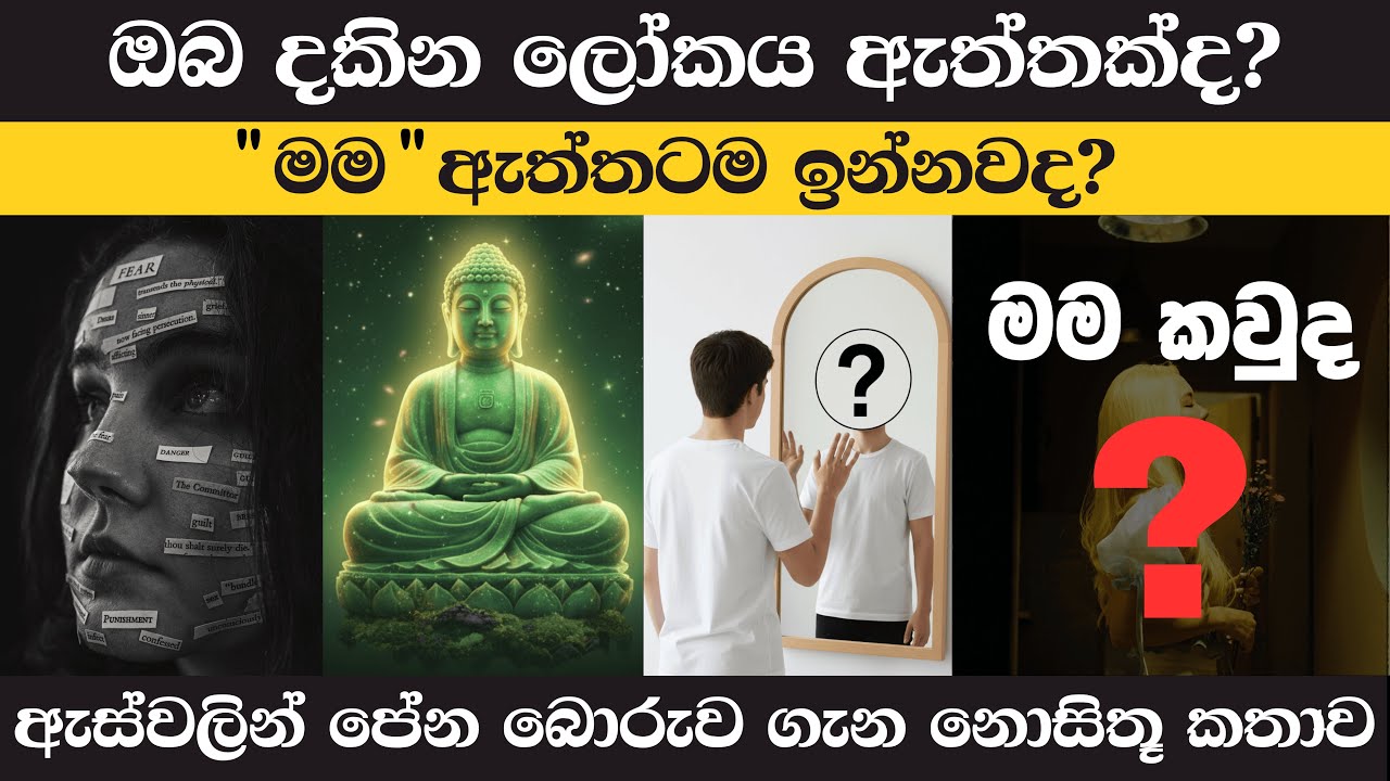 මම කවුද? - Who Am I | ඔබ දකින ලෝකය ඇත්තක්ද? #mama   #sinhala  #mindset