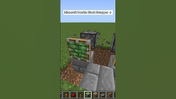 Double Block Swapper in Minecraft! #shorts
