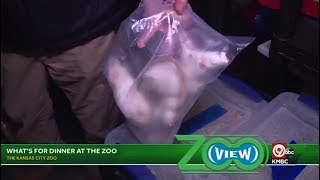 'Zoo View:' Feeding Kansas City's hungry, hungry hippos