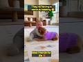 Cutest Wrestling Match You’ll See Today 😂 #shorts #baby #puppy #viral