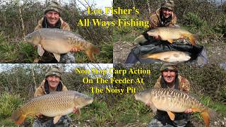 Non Stop Carp Action On The Feeder At The Noisy Pit