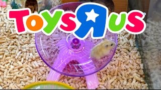 Mice U0026 Bunny Have Fun At Toysrus  Korea