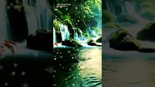 kya Mausam Aaya Hai Whatsapp status  bollywood