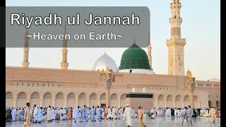 Riyadh-ul-Jannah: Madinah