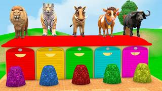 Long Slide Game with Colourful Duck Cow Tiger Gorilla Dog Elephant 3d Animal Game Funny 3d Animals screenshot 2