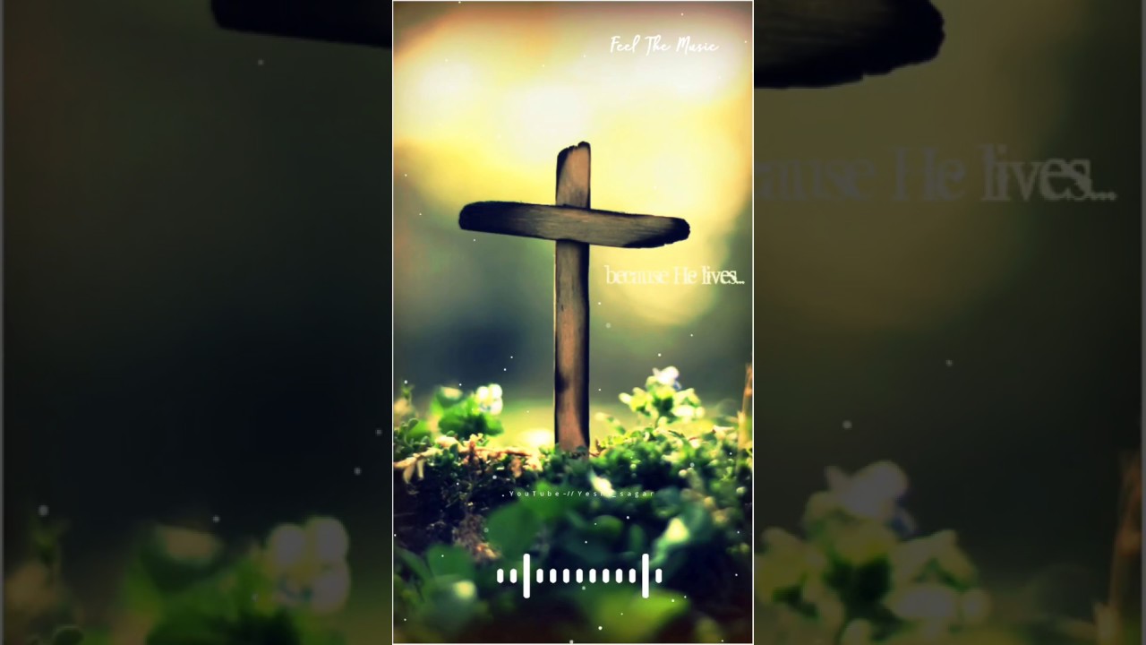 New Gamit Jesus song full screen status // Jeevna_pustaka_me_maye_nave_nodavyo_Ho // 2020