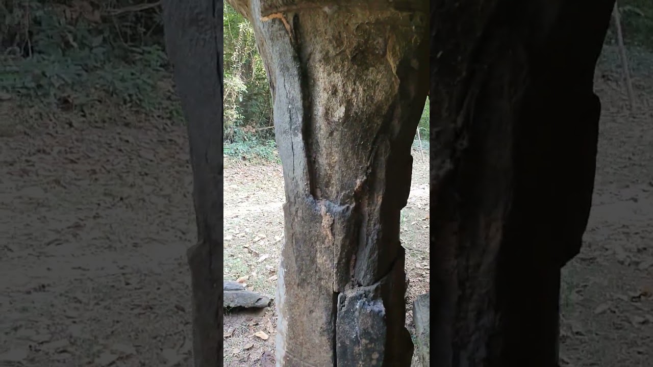 the stone are deteation 