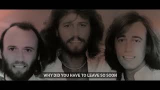 Rest Your Love on Me - Bee Gees | Unofficial Lyrics Video