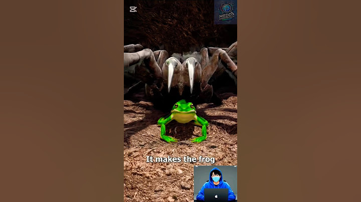 Tarantulas Keep Frogs as Pets? The Surprising Truth!#facts #amazonceo #sciencefacts #truestory