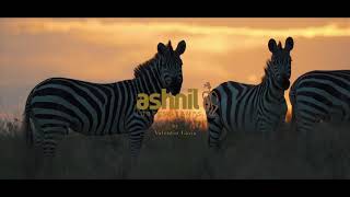 Ashnil Mara Camp (official video 2021)