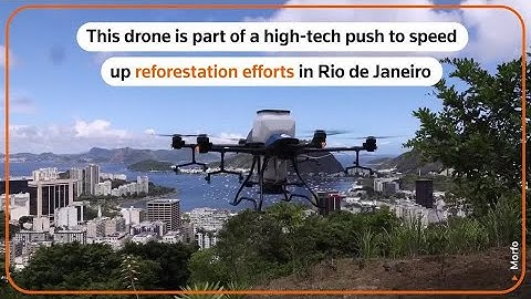 Drones and AI team up to reforest Rio de Janeiro | Technology
