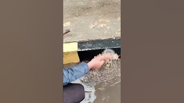 Remove Mud Clogged Culvert #culvert #unclog #satisfying #shorts